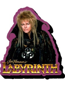 AQUARIUS ENT LABYRINTH JARETH MAGNET MAGNETI