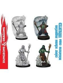 Wizkids D&d Nolzur Mum Water Genasi Male Druid Gioco Di Ruolo