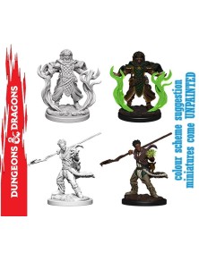 Wizkids D&d Nolzur Mum Human Male Druid Gioco Di Ruolo