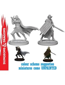 Wizkids Pathfinder Dcum Elf Male Paladin Gioco Di Ruolo