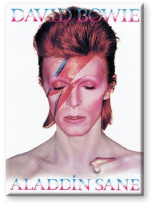 AQUARIUS ENT BOWIE ALADDIN SANE FLAT MAGNET MAGNETI