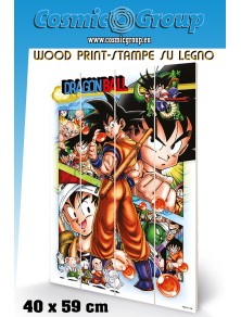 DRAGON BALL COMIC STRIP WOOD PRINT STAMPA SU LEGNO PYRAMID INTERNATIONAL