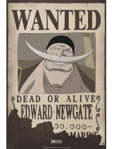 One Piece Poster Ricercato "Wanted Edward Newgate" 52 x 35 cm AbyStyle