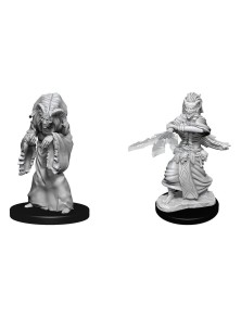 D&d Nolzur's Marvelous Miniatures Unpainted Miniatures Night Hag & Dusk Hag Case (6) Wizkids