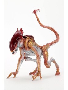 Aliens Action Figura Panther Alien (kenner Tribute) 23 Cm Neca