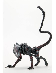 Aliens Action Figura Night Cougar Alien (kenner Tribute) 23 Cm Neca