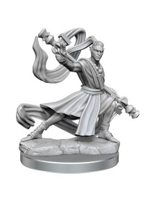 Dungeons & Dragons Frameworks Miniature Model Kit Elf Monk Male Wizkids