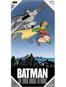 Poster Dk Ret Batman E Robin Poster Di Vetro Sd Toys