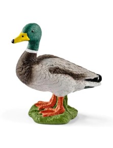 Schleich - ANATRA MASCHIO