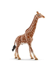 Schleich - GIRAFFA MASCHIO
