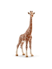 Schleich - FEMMINA DI GIRAFFA