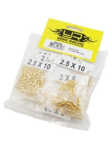 Yeah Racing - Set viti in acciaio anodizzate oro TRX4