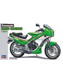 Hasegawa - Kawasaki KR250...