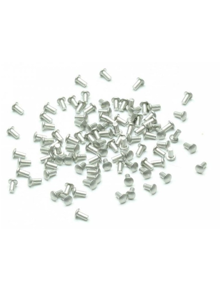 Extron - Rivetti in alluminio 2.0 x 1.0 mm (100pcs)