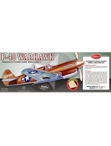 Guillows - P40 WARHAWK          70cm 1/16 BALSA KIT PER VOLO LIBERO