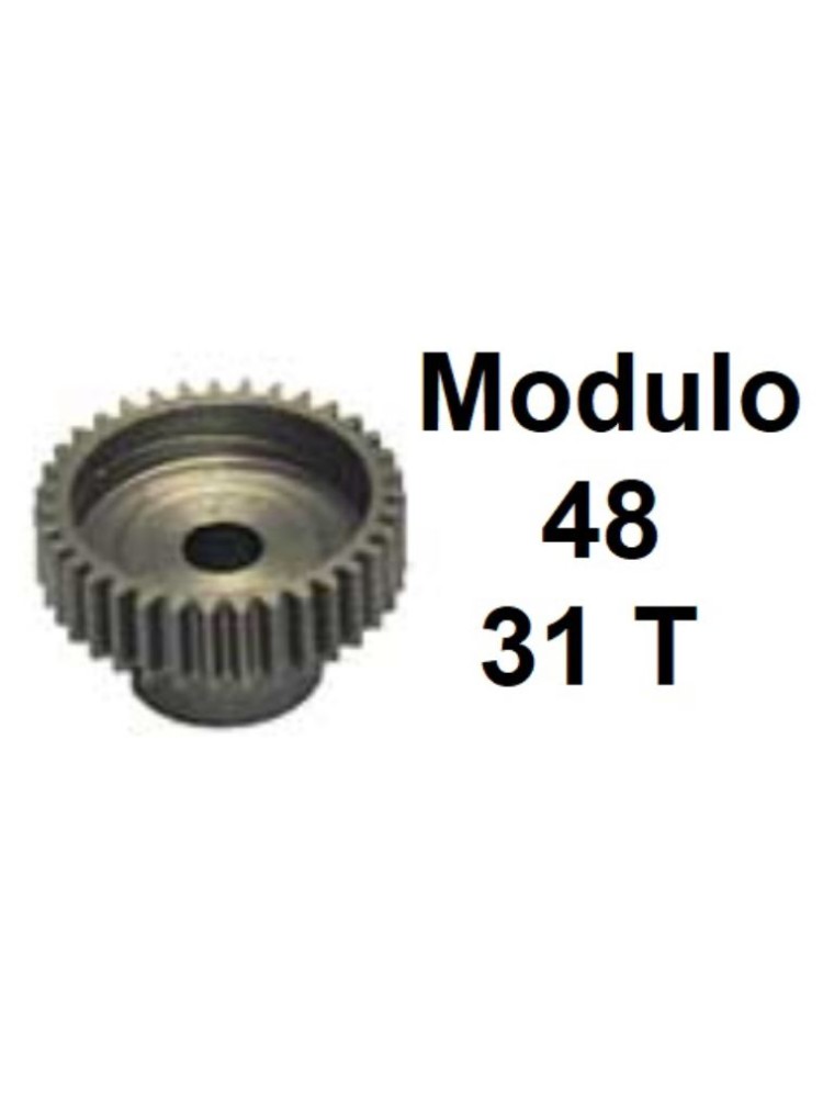 Robitronic - Pignone 31T modulo 48 foro da 3,17mm