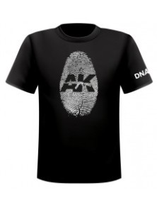 AK INTERACTIVE - AK T-SHIRT...