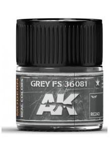 AK INTERACTIVE - Grey FS 36081 10ml