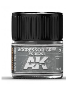 AK INTERACTIVE - Aggressor...