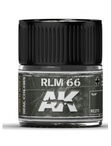 AK INTERACTIVE - RLM 66 10ml