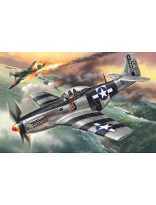 ICM - 1/48 Mustang P-51K,...