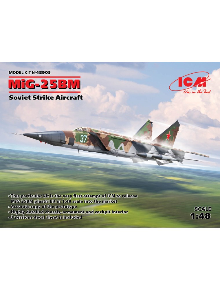 ICM - 1/48 MiG-25 BM, Soviet Strike Aircraft