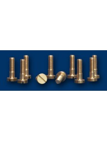 NSR - Metric Body Screw M2.2x6.5 Partially Threated (10pcs)