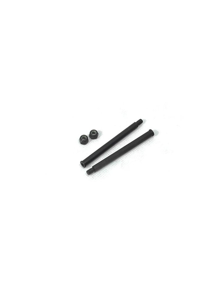 RADIOKONTROL - Rear Lower Sus.Arm Pins(screw thread)?5*66 2P