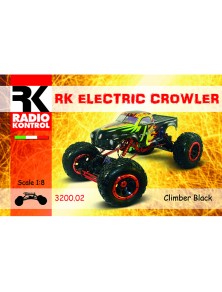 RADIOKONTROL - 1/8 RC...