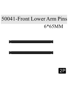 RADIOKONTROL - RK Front lower arm pins 6*65mm