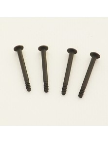 RADIOKONTROL - Cap Head Screw 2.5*25  4P