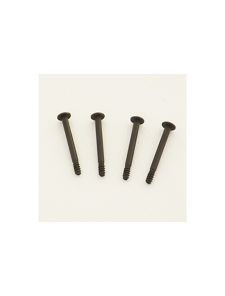 RADIOKONTROL - Cap Head Screw 2.5*25  4P