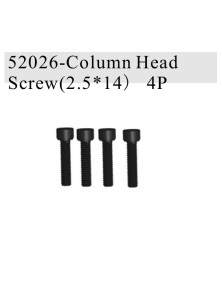 RADIOKONTROL - RK Column Head Screw (4 p.)