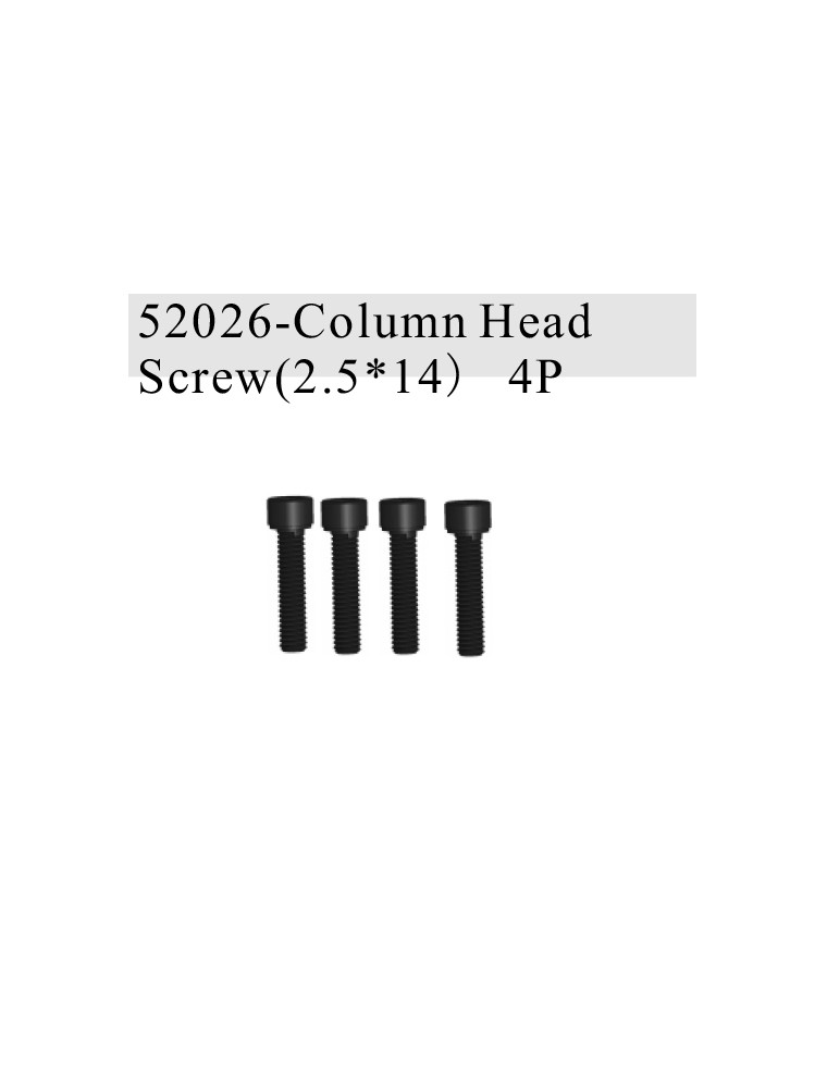 RADIOKONTROL - RK Column Head Screw (4 p.)