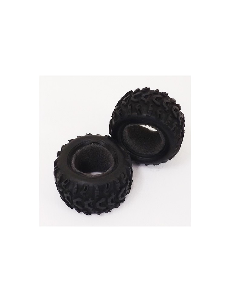 RADIOKONTROL - Tyre+Insert Sponge (2 pcs)