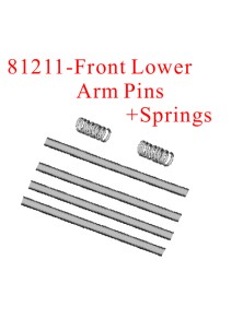 RADIOKONTROL - RKO FRONT LOWER ARM PINGS + SPRINGS