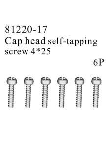 RADIOKONTROL - RK Cap head self-tapping screw 4*25 (6 pc)