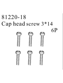 RADIOKONTROL - RK Cap head screw 3*14 (6 pc)