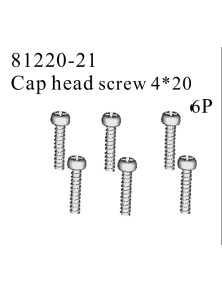 RADIOKONTROL - RK Cap head screw 4*20 (6 pc)