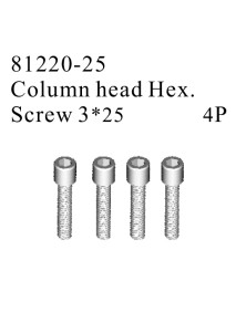 RADIOKONTROL - RK Column head hex. screw 3*25 (4 pc)