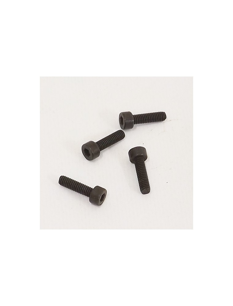 RADIOKONTROL - RK Cap head screw 4*16 (4 pc)