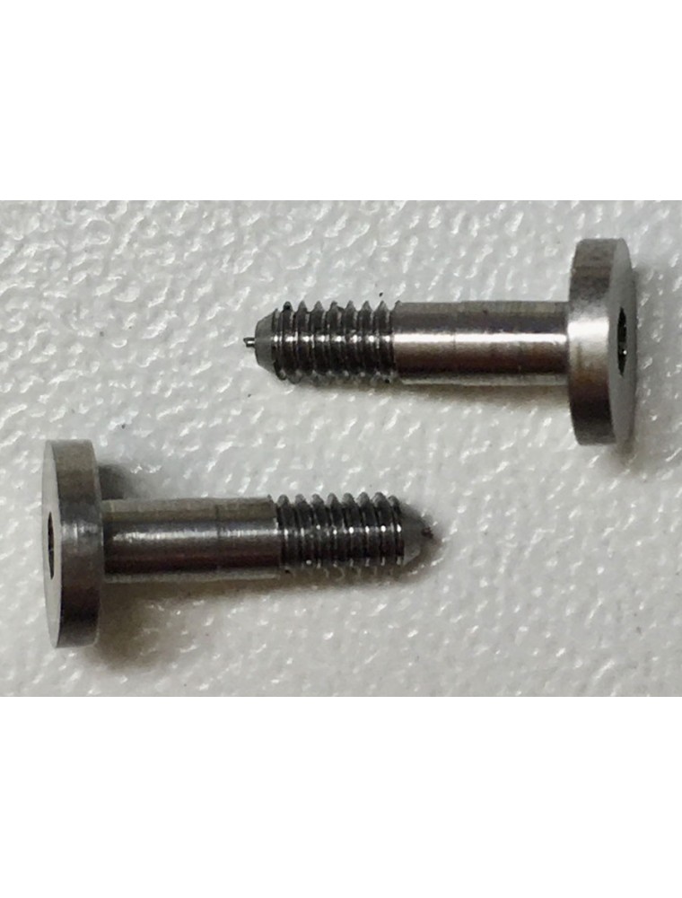 REVOSLOT - Guide steel screws (x2) 