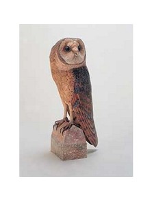 SCHREIBER BOGEN - Barn Owl in scala 1:1