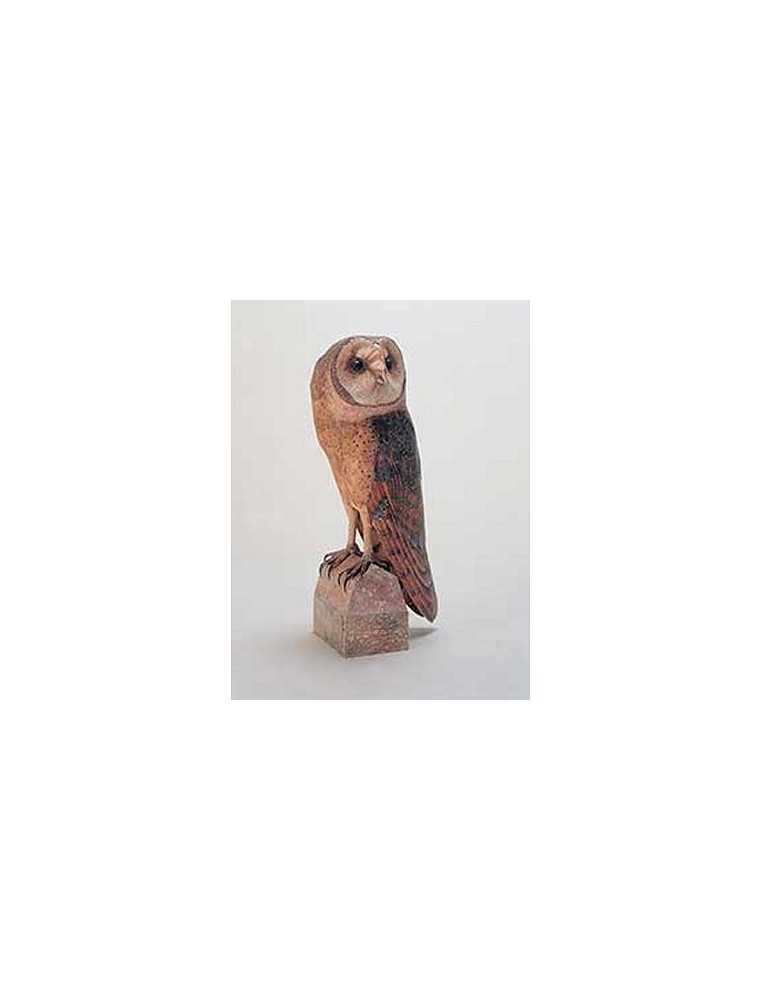 SCHREIBER BOGEN - Barn Owl in scala 1:1