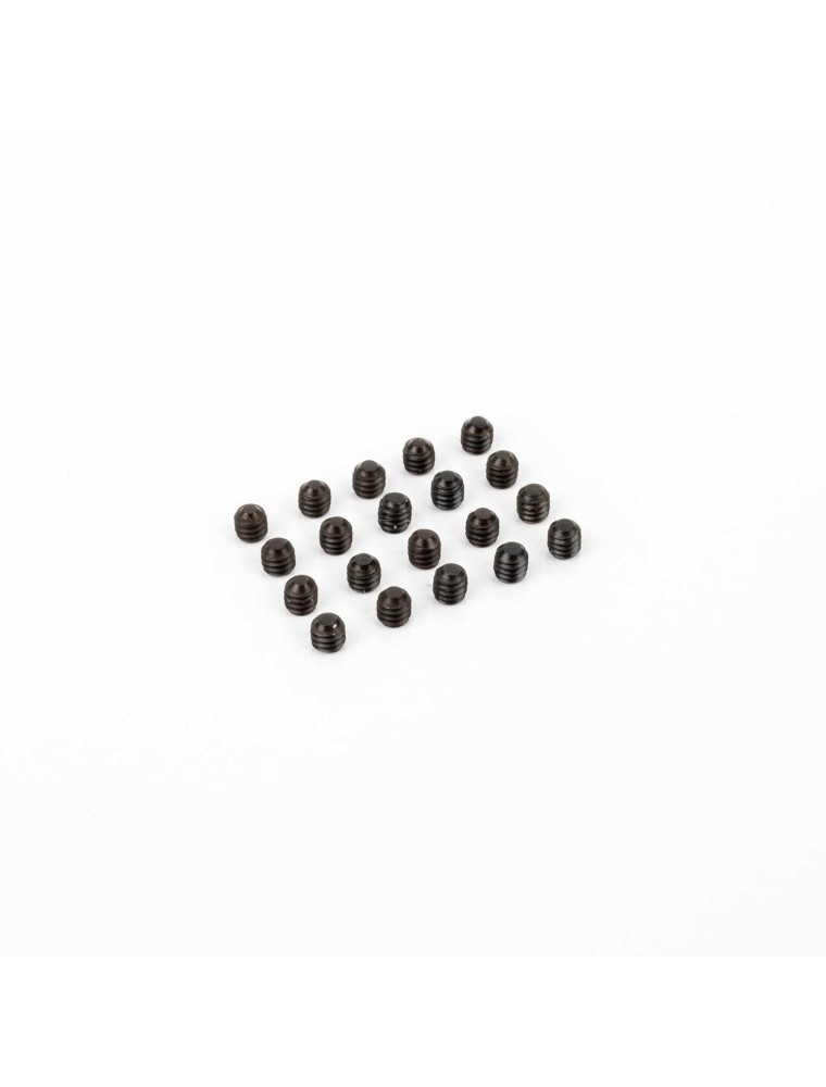 SLOT RACING COMPANY - 20x HEXAGONAL SCREWS M2x2