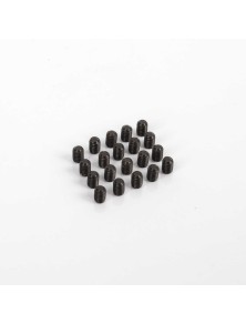 SLOT RACING COMPANY - 20x HEXAGONAL SCREWS M2x3