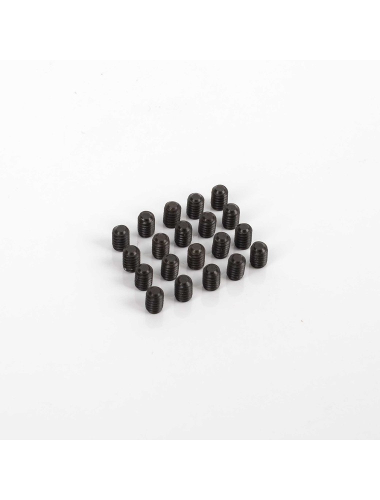 SLOT RACING COMPANY - 20x HEXAGONAL SCREWS M2x3