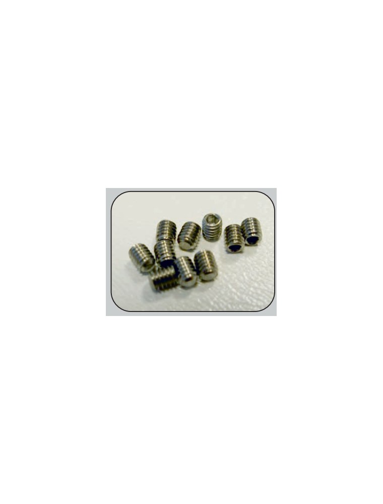 THUNDERSLOT - hexagonal screws M2.5 x 3 for front axle & body setting (10 pcs.)