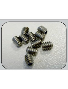 THUNDERSLOT - hexagonal screws 4/40 for rims & gear (10 pcs.)