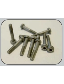 THUNDERSLOT - torx T6 metric screws 1.8 x 12 mm. (10 pcs.)